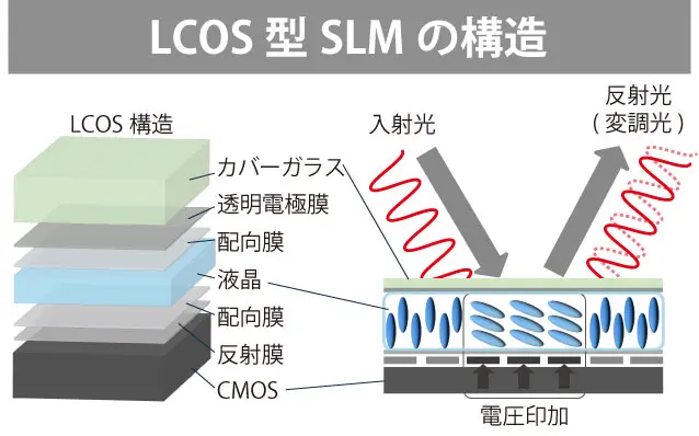 LCOS型SLMの構造